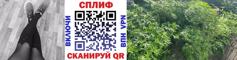 Купить  Серафимович  Конопля планчик 